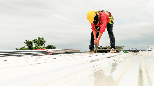 Best Gutter Replacement  in Irving, TX