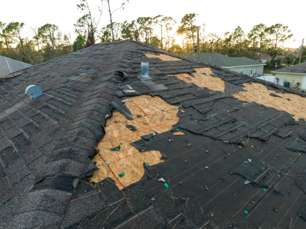 Roof Insulation in Irving, TX